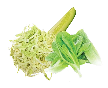 Cabbage, Cos Lettuce, Cucumber
