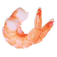 Shrimp